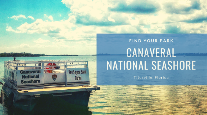 Pontoon Ride in Canaveral National Seashore (Dolphin sighting!)